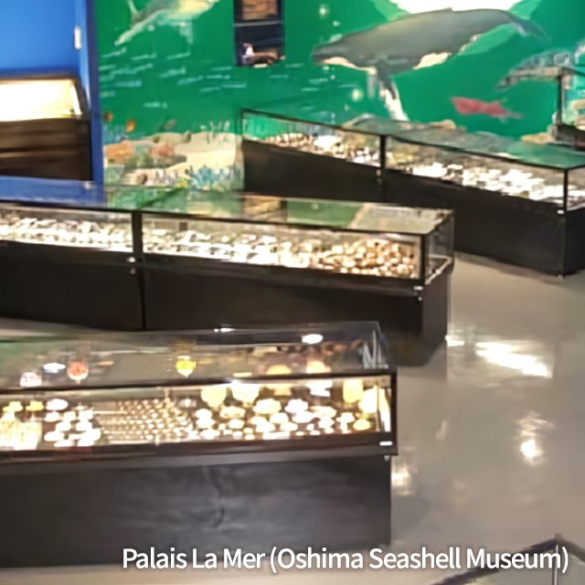 Palais La Mer (Oshima Seashell Museum)