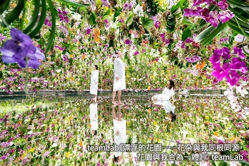 體驗不斷進化的東京 未來都市之旅