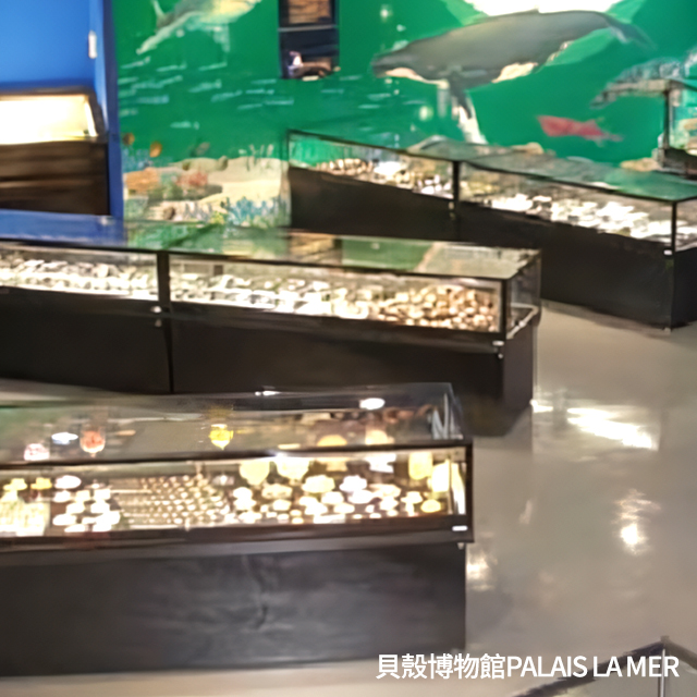 貝殼博物館PALAIS LA MER